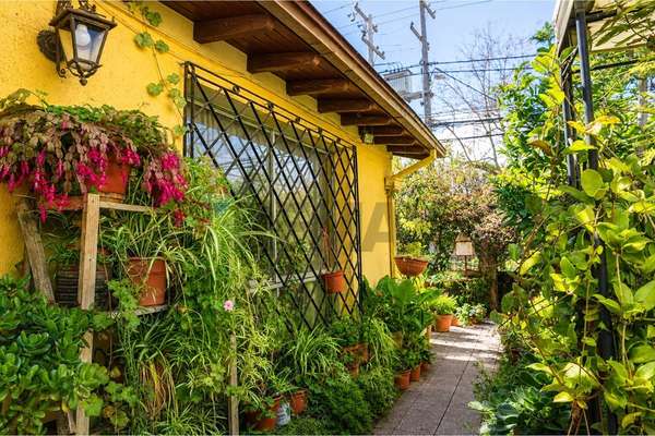 Venta casa macul
