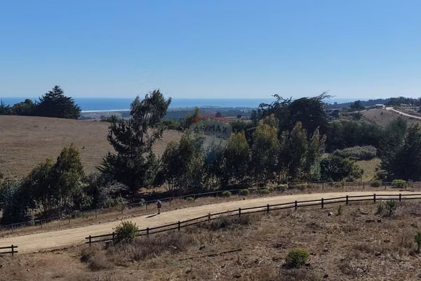 Terreno 5.000 m² pichilemu senderos bosque nativo