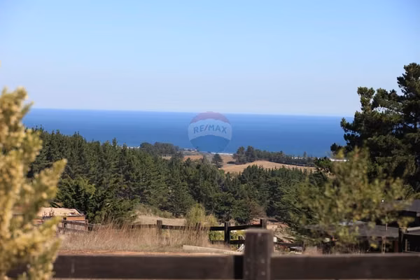 Terreno 5.000 m² pichilemu senderos bosque nativo