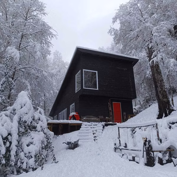 Parcela de 5 mil m2, cercada, con bosque nat (181049)