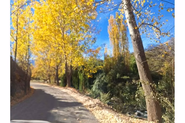 Se vende parcela en san francisco de los andes