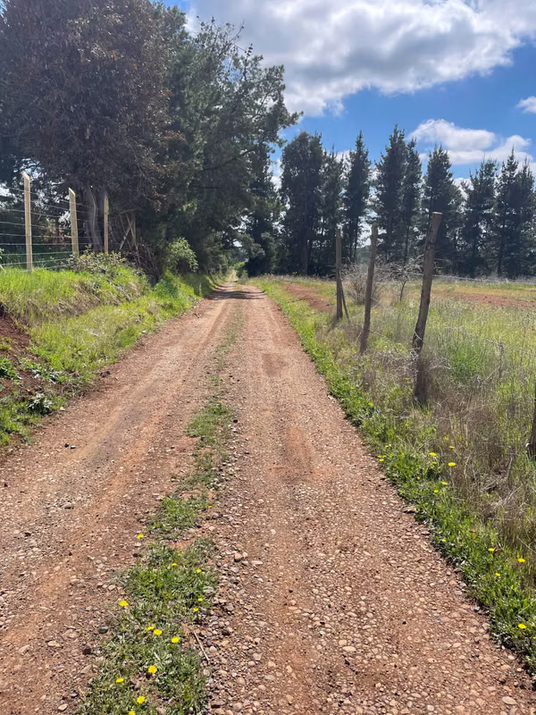 VENDO PARCELA EN PEMUCO (181276)