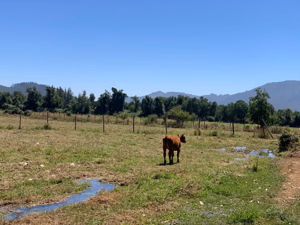 Parcela de 7300 m², Sector Los montes, Vilches, San Clemente