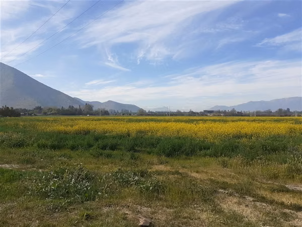 Parcela en condominio en venta Isla de Maipo/Talagante