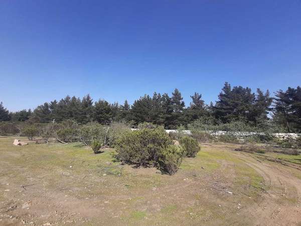 Oportunidad: Gran Terreno Industrial (74615)