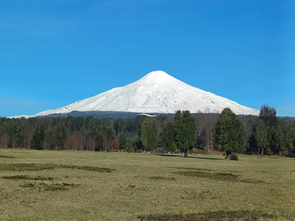 Refugio natural en Pucón (181237)