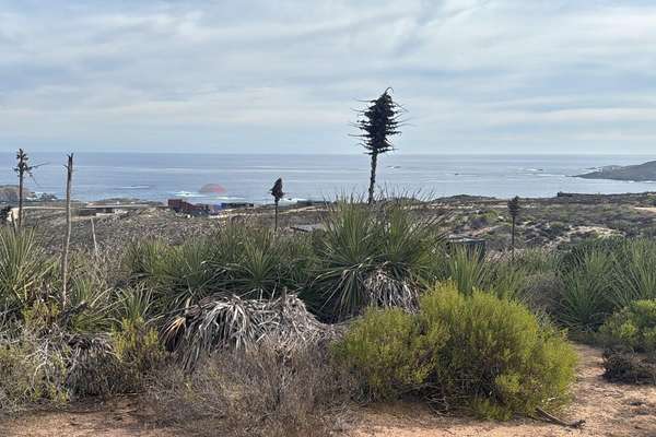 Ocho quebradas | desde 2.850 uf