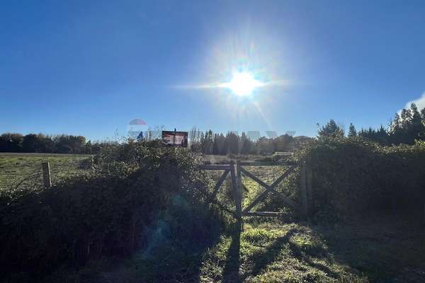 "parcela de ensueño en espiga de oro, negrete"