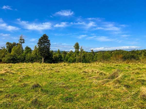 Parcela 5.000 m² Los Muermos $18 Millones (181832)