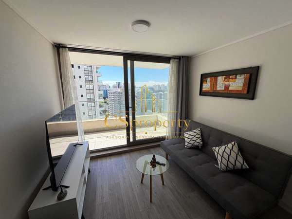 ARRIENDO DEPTO AMOBLADO 1D+1B+1E (181806)