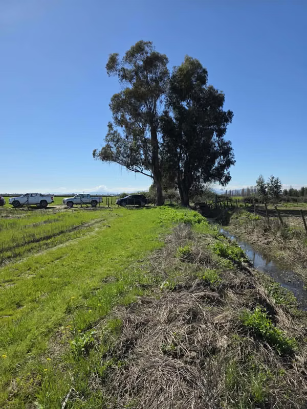 PARCELA CON CANAL DE REGADIO TIERRA FERTIL EN PERALILLO OHIGGINS
