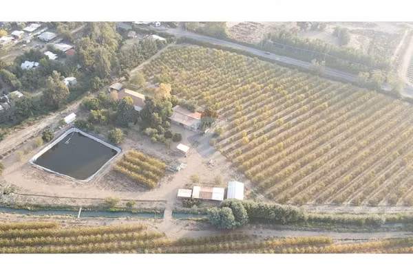 Campo productivo de cerezos en venta en picarquín