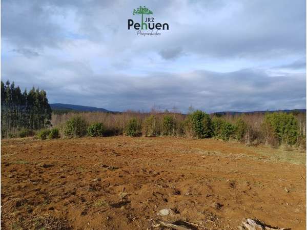 Terreno 4Ha en venta sector Pumaihue