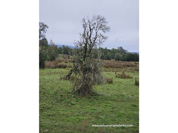 Terreno en venta callejon Trilena Pufudi