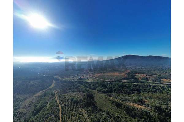 106 hectáreas florida ubicación estratégica