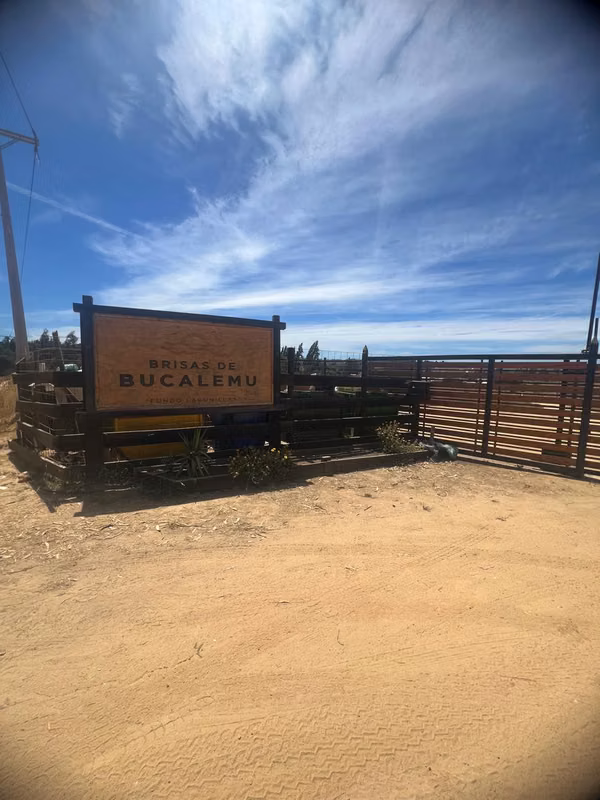 Brisas de Bucalemu