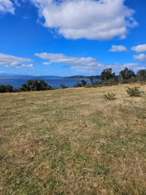 PARCELA EN PUERTO MONTT: 5000 M² CON VISTA AL MAR