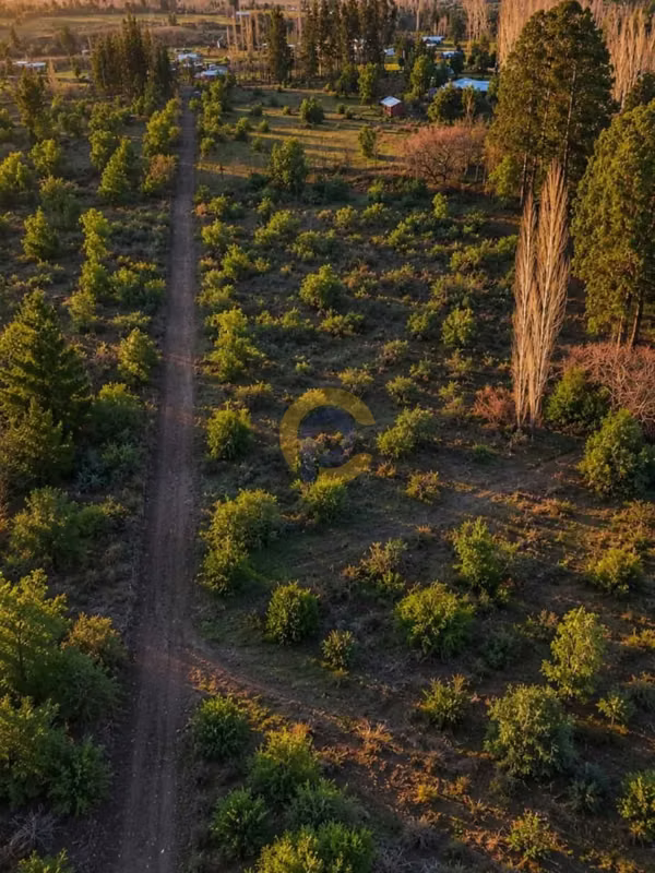 Parcela plano, cam a cerro colorado, L.A (182321)