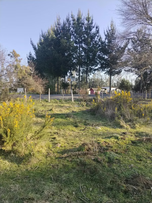 PARCELA DE 8.000 M2, SECTOR TRAGNA BOROA, COMUNA NUEVA IMPERIAL.