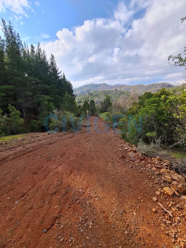 Panorámicas, seguridad Parcela 0,5ha (182699)