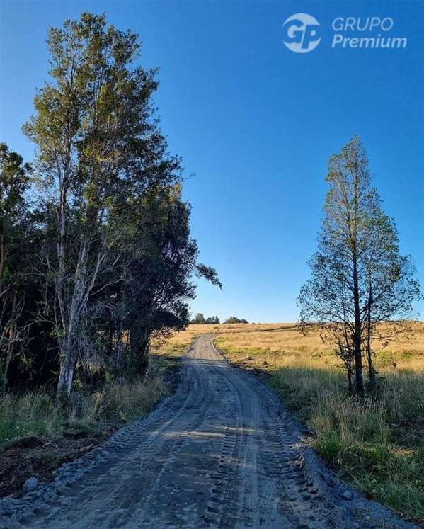 Parcelas en venta en Curaco de Vélez