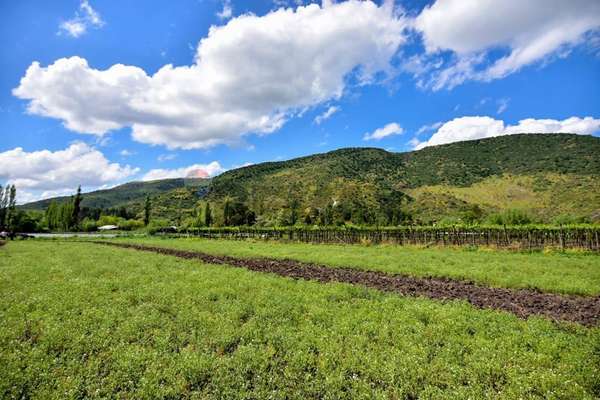 Terreno agrícola en venta san vicente de t.t."