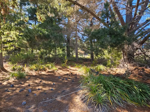 Puertecillo, terreno de 5.600 m2 en venta en condominio Punta Puertecillo