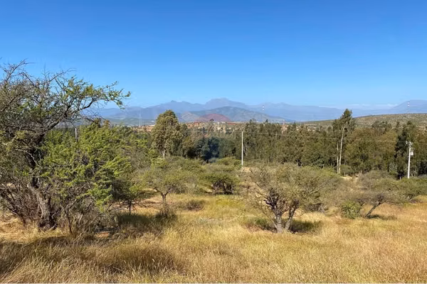 Parcela en valle nativo, hacienda los aromos