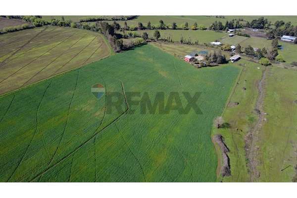 Oportunidad inversión agroind 21,5 ha talca