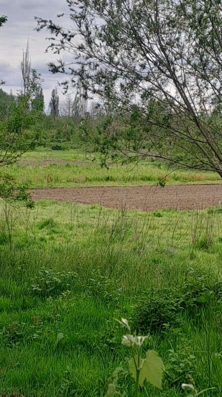 ¡INVERSIÓN AGRÍCOLA EN LOS ÁNGELES!