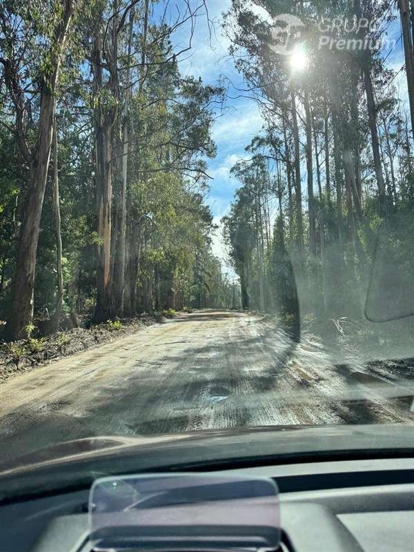 Parcela en venta en Pichilemu
