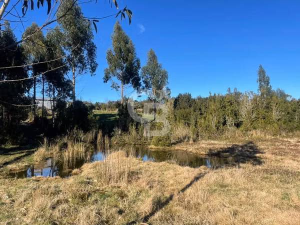 Parcela Isla Puluqui: 5000m² de Naturaleza e Inversión