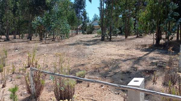 TERRENO DE ENSUEÑO, 1000 M² DISPONIBLES