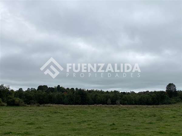 VENTA Parcela 1,2 Hectáreas Loncotoro