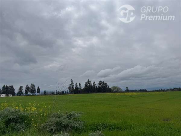 Parcela en venta en Peralillo