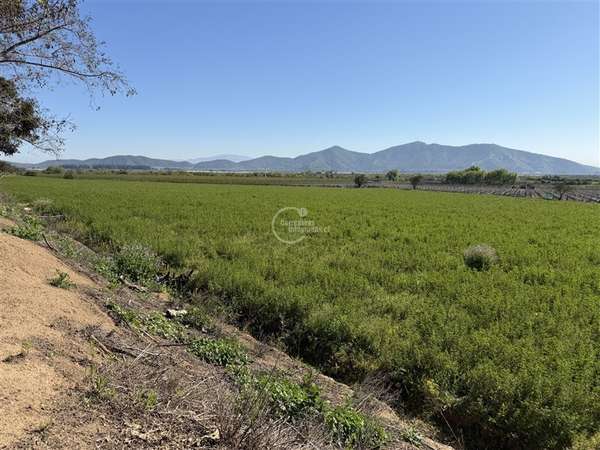 Agrícola en arriendo en Melipilla