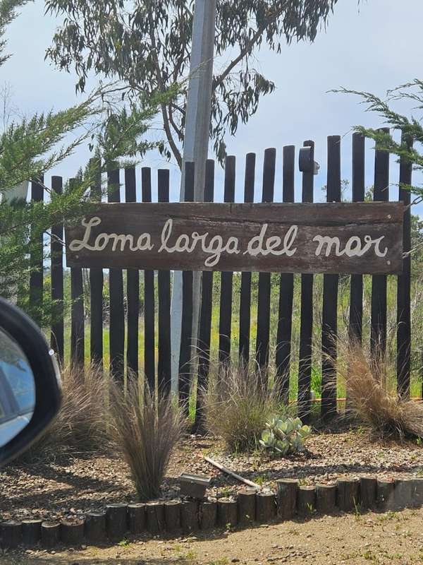 Parcela en Tunquen, Algarrobo: 5000m2, $60M