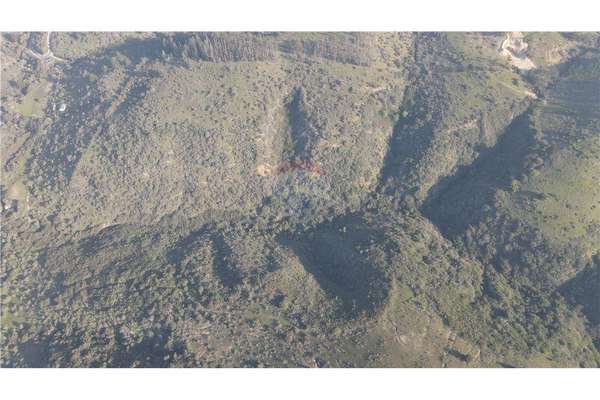 Terreno ganadero 22.6ha en lo abarca, san antonio