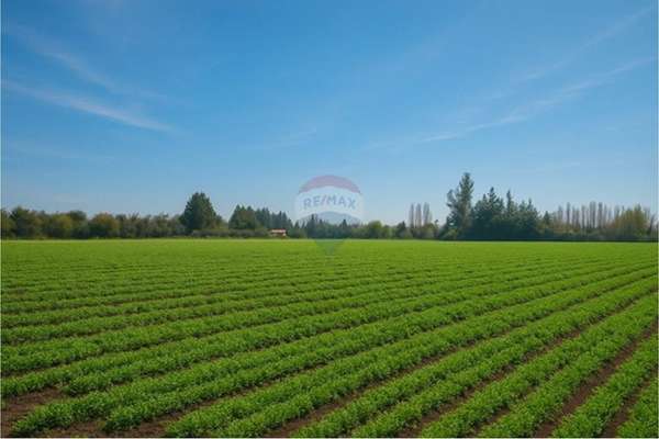 Chicureo: 8,3ha con proyecto sag para 16 parcelas