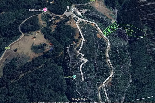 Altos de valdivia | bosque nativo y estero natural