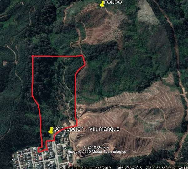 Gran Sitio en Vilumanque - Concepción
