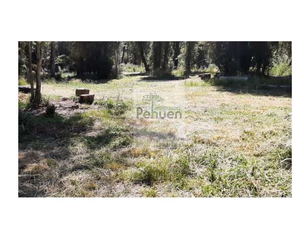 Terreno 8Ha en sector La Junta Comuna Cisnes