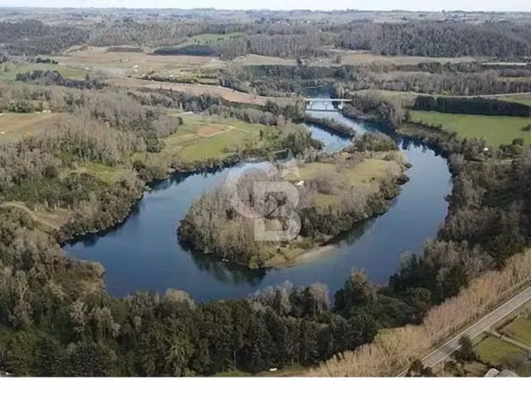 Isla Privada en Lago Ranco: Naturaleza, Privacidad y Río