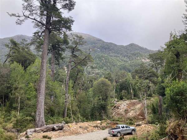 Agrícola en venta en Aysén