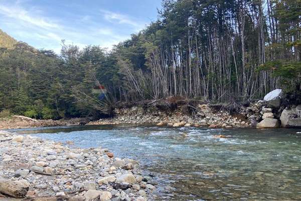 Parcela 5.000 m² con opción de mayor superficie