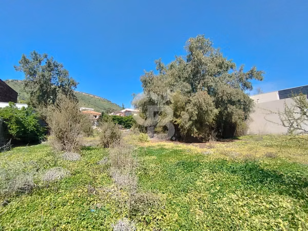 Sitio La Reserva Chicureo | Baja Pendiente | Interior