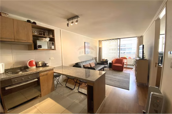 Arriendo amplio departamento en príncipe de gales
