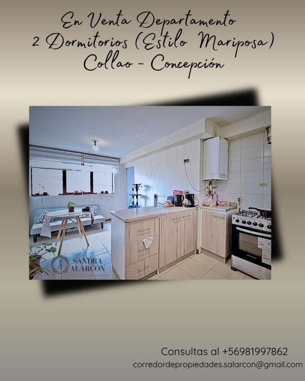 En Venta Dpto. tipo mariposa en Concepción, 2D Y 2