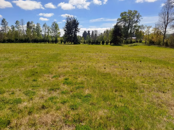 venta de parcela 12 mil metros cuadrados
