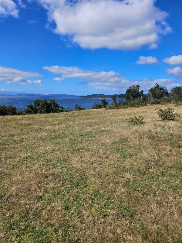 PARCELA EN PUERTO MONTT: 5000 M² CON VISTA AL MAR